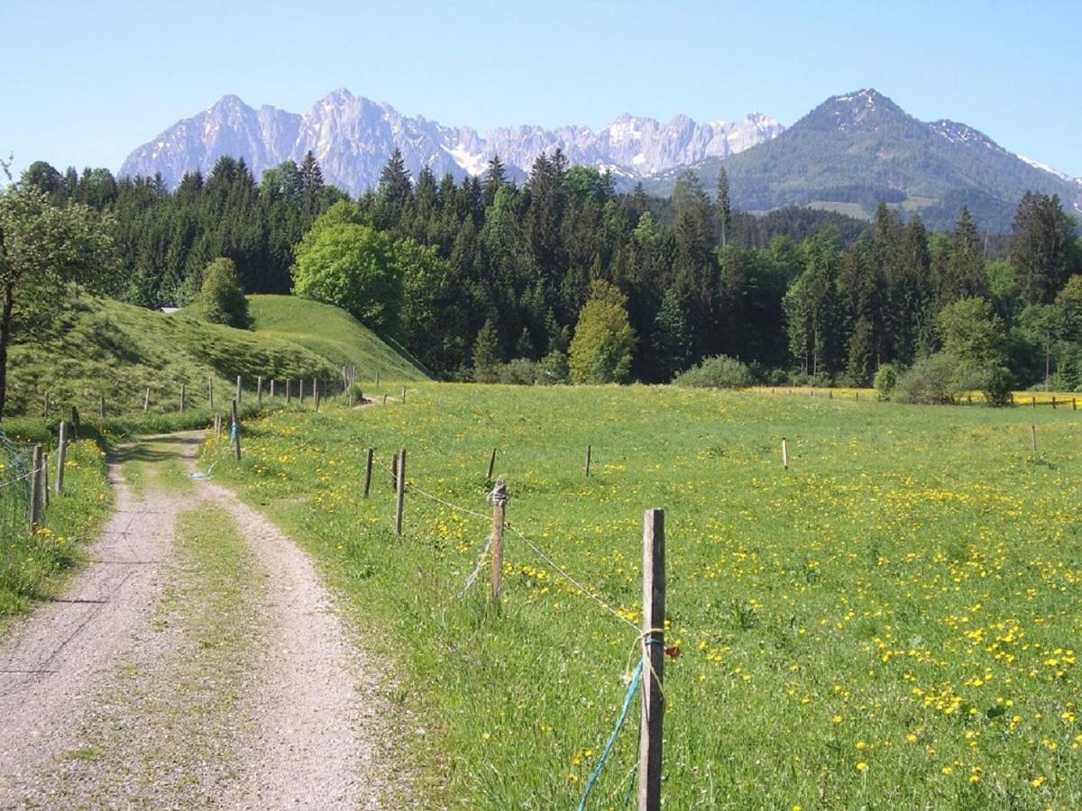 Gaestehaus Gruenbacher كوسن المظهر الخارجي الصورة